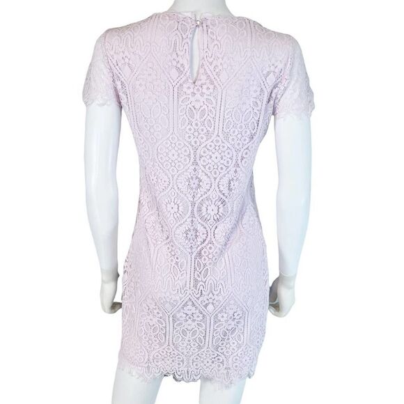 Mi Ami by Francesca’s Mini Lace Dress Mini Womens Pastel - Picture 5 of 11